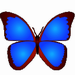 bkviewer(数码相片浏览工具) v5.1j 绿色版