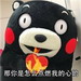 熊本熊套路表情包 无水印版