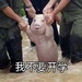 我不要开学表情包 无水印版