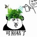 可别枯了表情包 无水印版