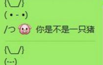 朋友圈你是不是一只猪翻译什么梗 你是不是一只猪的朋友圈翻译有惊喜