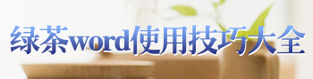 绿茶word使用技巧大全